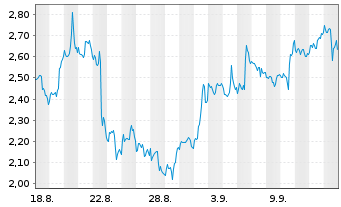 Chart Mini Future Short Block - 1 Monat