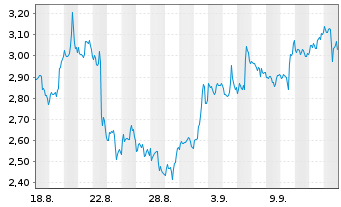 Chart Mini Future Short Block - 1 Monat