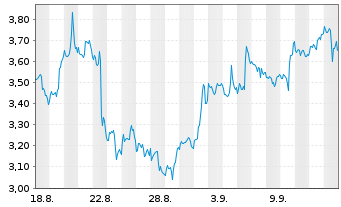 Chart Mini Future Short Block - 1 Monat