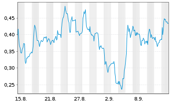 Chart Mini Future Long Salzgitter - 1 Month