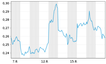 Chart Mini Future Long BYD - 1 Monat