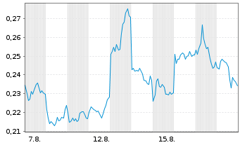 Chart Mini Future Long BYD - 1 Monat