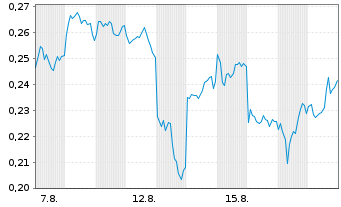 Chart Mini Future Short BYD - 1 Monat
