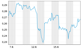 Chart Mini Future Short BYD - 1 Monat