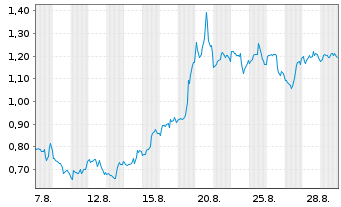 Chart Mini Future Short Palantir - 1 Month