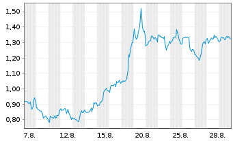 Chart Mini Future Short Palantir - 1 Month