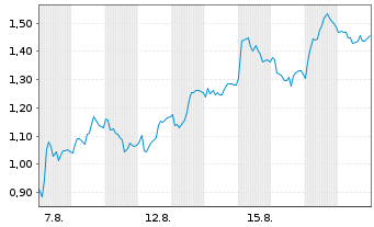 Chart Mini Future Long BMW - 1 Monat
