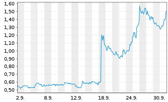 Chart Mini Future Long Intel - 1 Monat