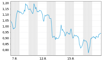 Chart Mini Future Short Nike - 1 Monat