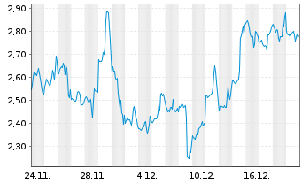 Chart Mini Future Short Microstrategy - 1 Monat