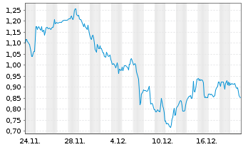 Chart Mini Future Long Berkshire Hathaway - 1 Monat