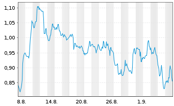 Chart Mini Future Short IBM - 1 Monat