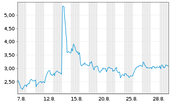 Chart Mini Future Short Adyen - 1 Monat