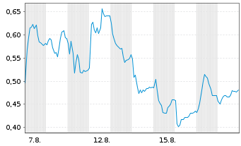 Chart Mini Future Long Salzgitter - 1 Monat