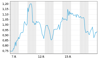 Chart Mini Future Long Standard Lithium - 1 Monat