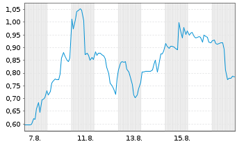 Chart Mini Future Long Standard Lithium - 1 Monat