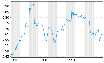 Chart Mini Future Long Standard Lithium - 1 Monat