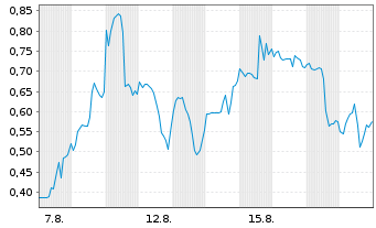 Chart Mini Future Long Standard Lithium - 1 Monat