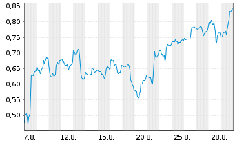 Chart Mini Future Long Pan American Silver - 1 Month