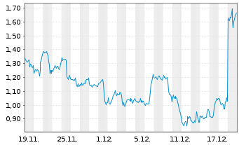 Chart Mini Future Short Nike - 1 Monat