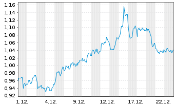 Chart Mini Future Short Shell - 1 Monat