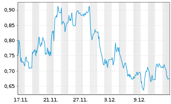 Chart Mini Future Long IONOS Group - 1 Monat