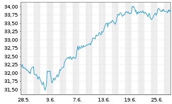 Chart Amu.S&P 500 CL.N.Z.AMB.P USD - 1 mois