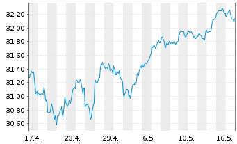 Chart Amu.S&P 500 CL.N.Z.AMB.P USD - 1 Month