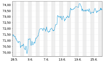 Chart Xtr.(IE) - S&P 500 - 1 Month