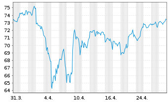 Chart Xtr.(IE) - S&P 500 - 1 Month