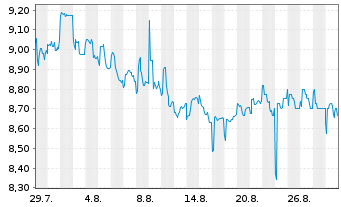Chart Columbus Circle Capital Corp. - 1 Month