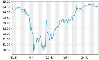 Chart Amu.Idx Sol.Amu.DIVDAX - 1 Monat