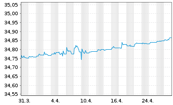 Chart Xtr.II-iB.EOz.Gov.Bd Yd Pl.0-1 - 1 Monat