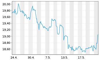 Chart Ranger Equity Bear ETF - 1 Monat