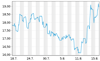 Chart Ategrity Specialty Hldgs LLC Reg. Shares DL-,001 - 1 Monat