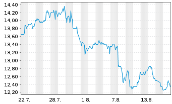 Chart Community Healthcare Trust Inc  - 1 Monat