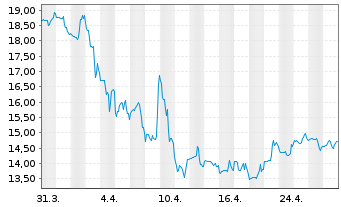 Chart Lakeland Industries Inc. - 1 mois