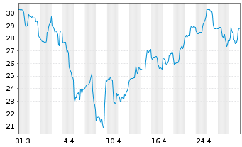 Chart Scholar Rock Holding Corp. - 1 Month