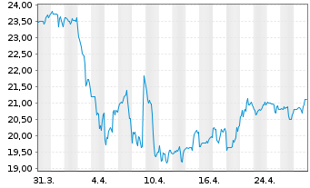 Chart Seacoast Banking Corp. of Fla. - 1 mois