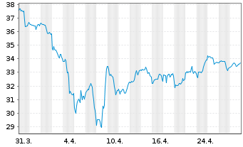 Chart VanEck Rare Earth/Str.Met.ETF - 1 Monat