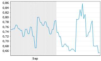 Chart Victory Metals Ltd. - 6 Monate