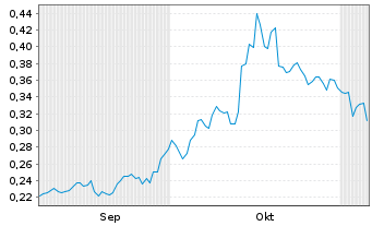 Chart Canadian Gold Corp. - 6 Monate