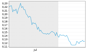 Chart Integrated Cyber Solut. Inc.  - 6 Monate