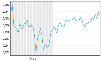 Chart New Earth Resources Corp. - 6 Months