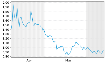 Chart Mini Future Short Visa - 6 Months