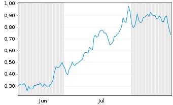 Chart Mini Future Long NVIDIA - 6 Monate