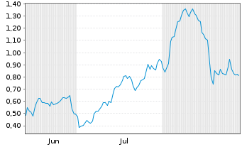Chart Mini Future Long Palantir - 6 Months