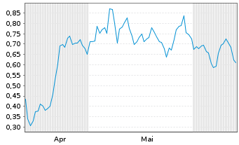 Chart Mini Future Long Puma - 6 Months