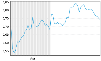 Chart Mini Future Long Shell - 6 Monate