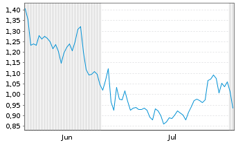Chart Mini Future Long Berkshire Hathaway - 6 mois